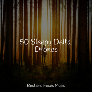 The Keys Sounded Softly