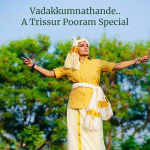 Vadakkumnathande