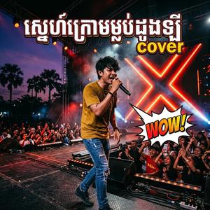 ស្នេហ៍ក្រោមម្លប់ដូងឡី Cover
