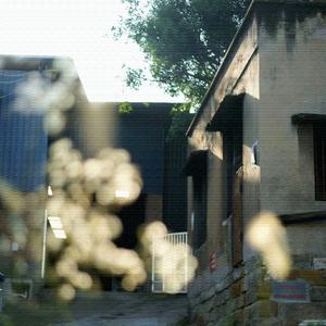 雁南飞 (箫曲轻音乐)