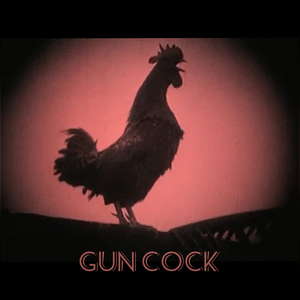 Gun Cock