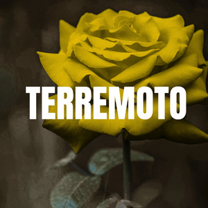 TERREMOTO