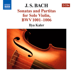 Violin Sonata No. 2 in A Minor, BWV 1003:III. Andante
