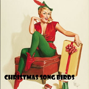Christmas Songbirds Medley: White Christmas / Have Yourself a Merry Little Christmas / Winter Wonderland / Santa Baby / Suzy Snowflake / It's Christmas Time Again / Christmas Island / The Mistletoe Kiss Polka / Here Comes Santa Claus (Down Santa Claus Lan