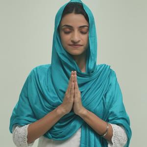 Chamkaur Di Garhi