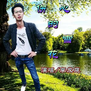 李发庭 - 伤心的雪花