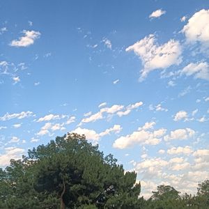 云端的琴声（纯音乐）