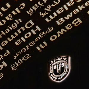 光·BFSU模样（The Light）