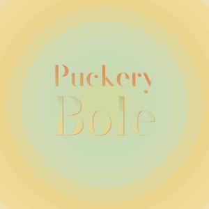 Indefinitely Besotted