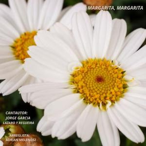 MARGARITA,MARGARITA