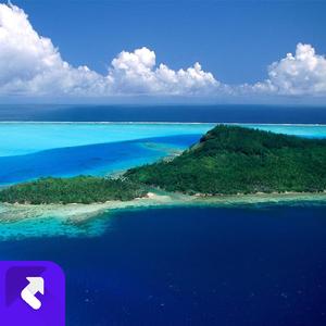 迷途的打工者 (现场)