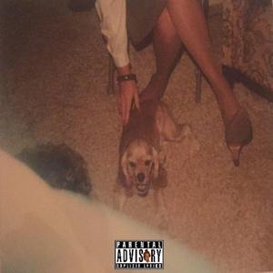 Here Today Gone Tomorrow