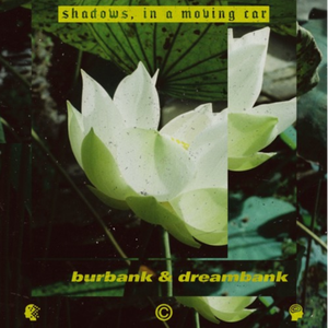 shadows, in a moving car