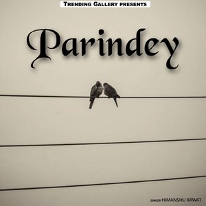 Parindey