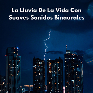 Agradable Sinfonía De Ducha