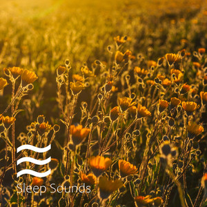 Easy Pink Sleepful Noise