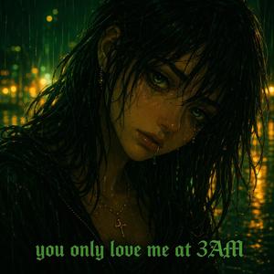 you only love me at 3AM (Voicenotes 6)