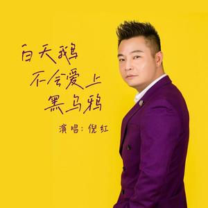 白天鹅不会爱上黑乌鸦