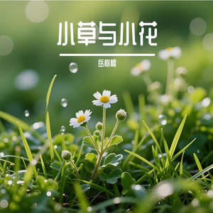 小草与小花
