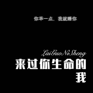 我的世界你曾经来过 (Remix)