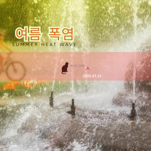 여름 밤의 드림