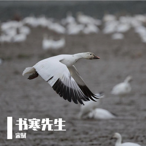 我被活活的逼成了一个废人呐