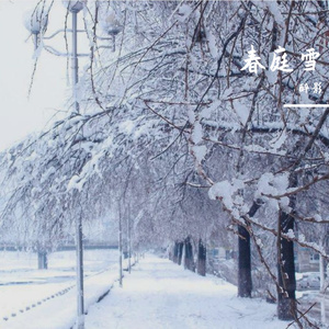 春庭雪