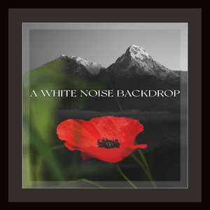 Inside a Boiling Kettle