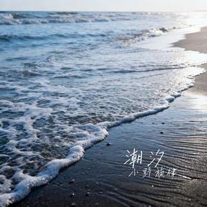 潮汐 (Cover IN-K & 安苏羽 & 傅梦彤)