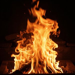 Discipline Fire