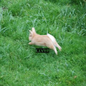 i just want to know where you are