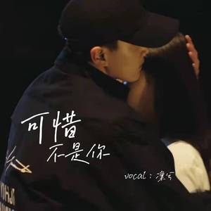 可惜不是你
