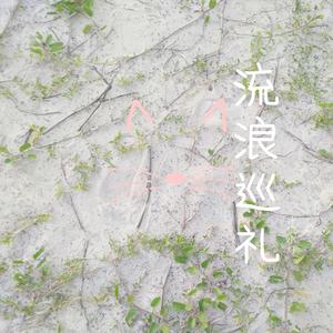 流浪巡礼（cover：兔裹煎蛋卷）