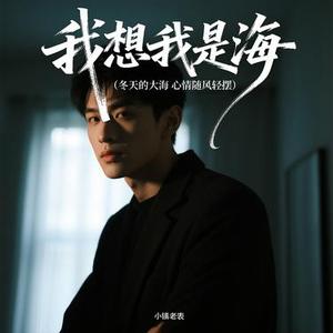 我想我是海（冬天的大海 心情随风轻摆）