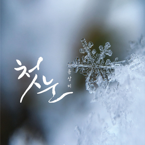 첫눈