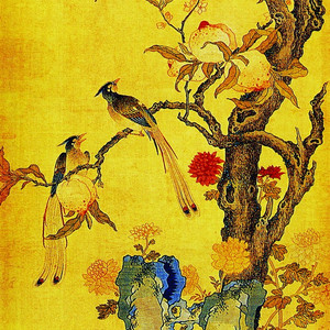 你所不知道的我