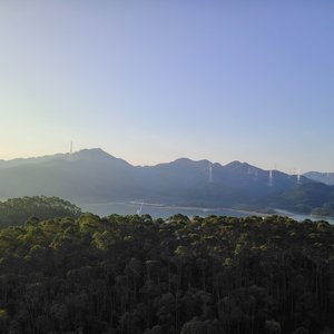 颂乐止殇