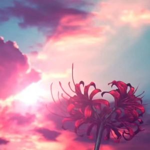 花期太短（Prod by Lion-Z狮子）