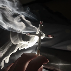 思念疯长如雨季