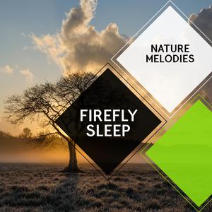 Bird Trills at Dawn Wakes You