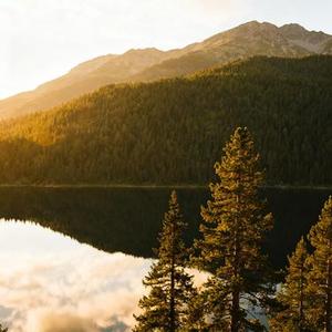 没走好脚下的路 (Cover 刘阳阳)