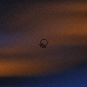 脑袋空空