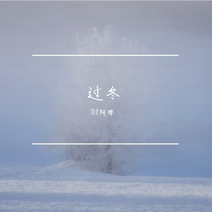 过冬（DJ版）
