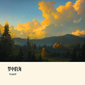 梦中的海