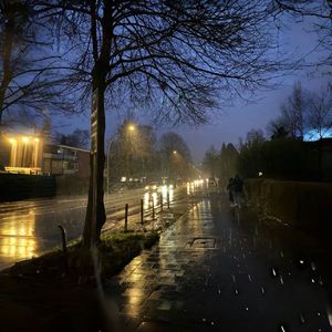 飘落在雨中的眼泪