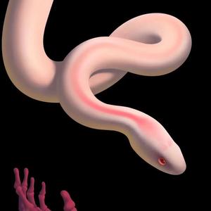 游刃有余 prod by xvibe