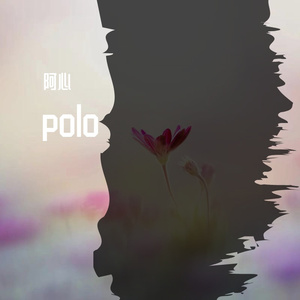 polo4