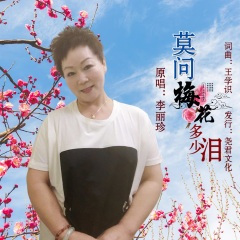 莫问梅花多少泪