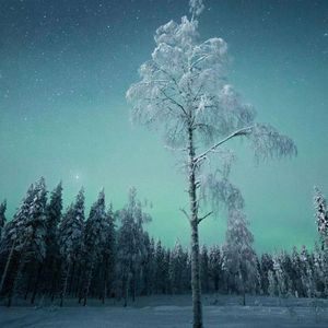 我会一直爱着你