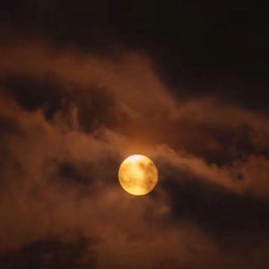 自傷無色（翻自 ねこぼーろ）